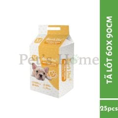 Tã lót thấm hút kháng khuẩn Antibacterial Absorb