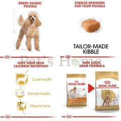 Hạt Royal Canin Poodle Adult - Thức ăn hạt cho giống chó Poodle trên 10 tháng tuổi