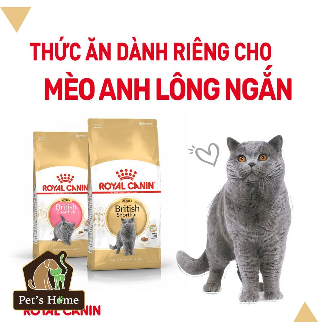 Hạt Royal Canin British Shorthair [2kg - 400g] thức ăn cho mèo anh lông ngắn Pháp