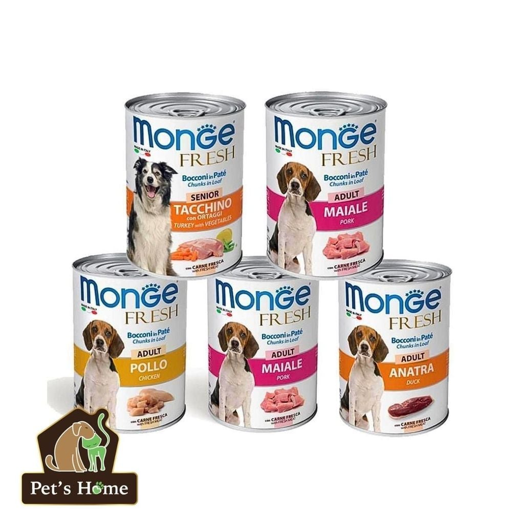 Pate Monge Fresh cho chó lon 400g