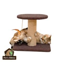 Trụ cào 2 tầng cho mèo Cattyman