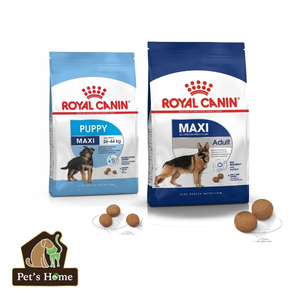 Hạt Royal Canin Maxi [1kg - 4kg] cho giống chó cỡ lớn chó con, chó trưởng thành Pháp