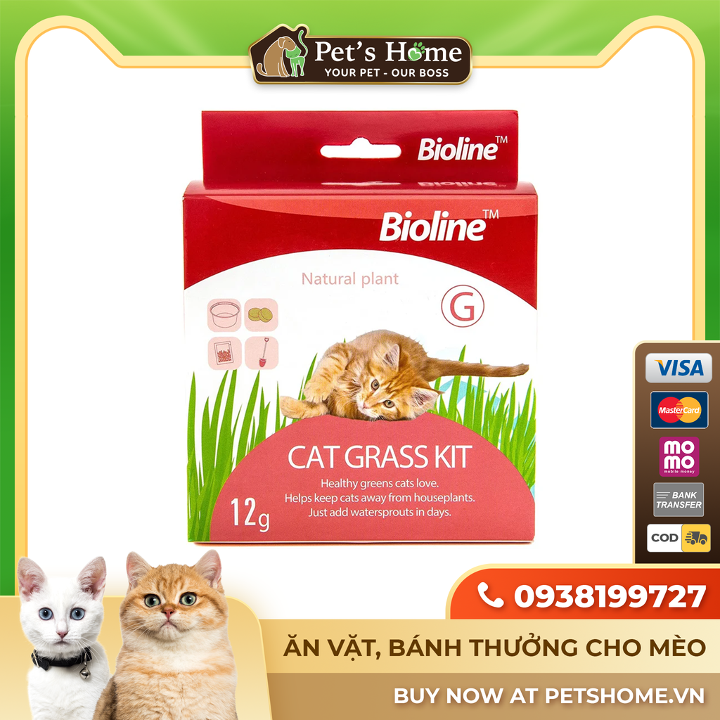Bộ trồng cỏ mèo Bioline Cat Grass Kit 12g