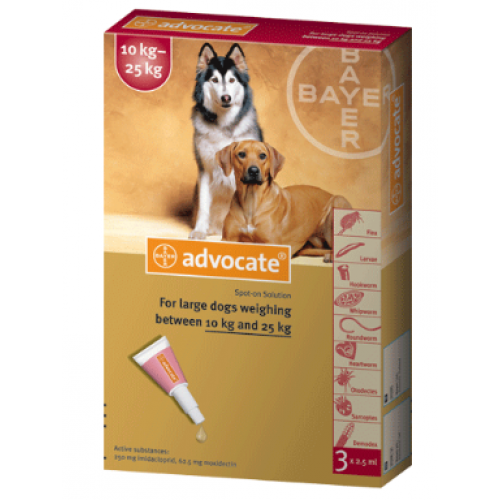 Advocate trị ký sinh trùng cho chó 10-25Kg