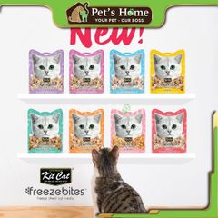 Bánh thưởng KitCat freezebites snack viên thịt sấy giòn dinh dưỡng, giúp sạch răng cho mèo Singapore
