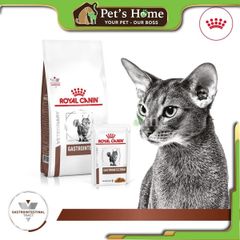 Hạt Royal Canin Gastrointestinal [2kg] cho mèo hỗ trợ tiêu hóa và vấn đề đường ruột Pháp