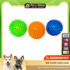 Pawise Play Dog - Đồ chơi bóng nẩy Spiky Ball