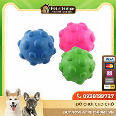 Pawise Play Dog - Đồ chơi bóng Bouncing