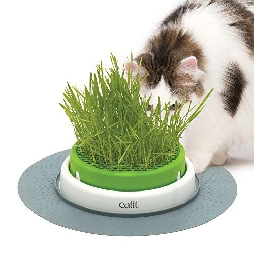 Catit - Khay trồng cỏ mèo 37x37x6cm