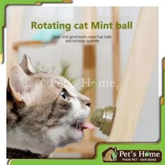 Viên catnip dán tường cho mèo