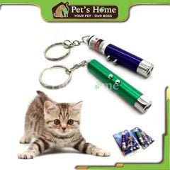 Đèn laser cho mèo