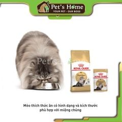 Hạt Royal Canin Persian [2kg - 400g] thức ăn cho mèo Ba Tư dưỡng lông dễ nhai Pháp