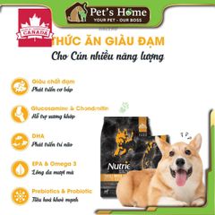 Hạt Nutrience Subzero [2,27kg - 500g] thức ăn cho chó cá hồi thịt gà rau củ Cao cấp Canada