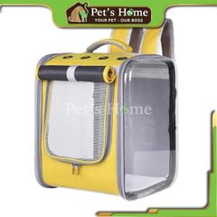 Balo vuông trong cửa lưới