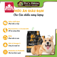Hạt Nutrience Subzero [5kg] thức ăn cho chó cá hồi thịt gà rau củ Cao cấp Canada