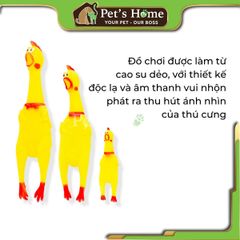 Đồ chơi con gà kêu Shrilling Chicken