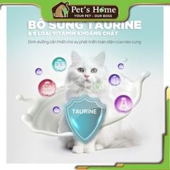 Súp thưởng - Sốt dinh dưỡng cho mèo mọi lứa tuôi 15g