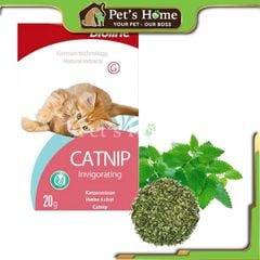 Cỏ catnip cho Mèo Bioline Catnip Hũ 30g