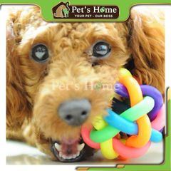 Đồ chơi cuộn dây nhiều màu Cityzoo