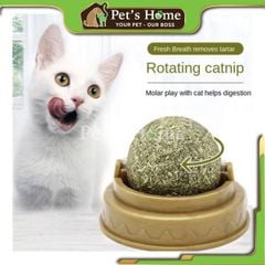 Viên catnip dán tường cho mèo