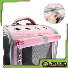 Balo vuông trong cửa lưới