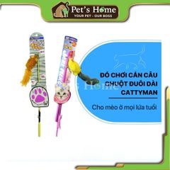 Đồ chơi cần câu kim loại gắn lông vũ