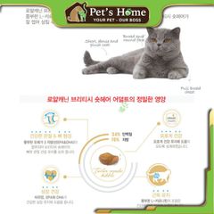 Hạt Royal Canin British Shorthair [2kg - 400g] thức ăn cho mèo anh lông ngắn Pháp