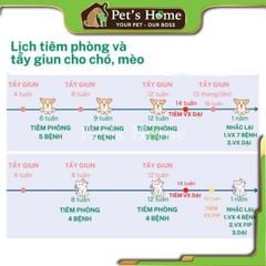 Vaccine mèo 4 bệnh