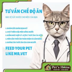 Hạt cho mèo Mr Vet Holistic 1kg