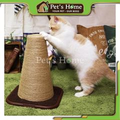 Trụ tam giác mèo cào Cattyman