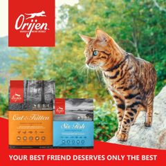 Hạt Orijen Six Fish thức ăn cao cấp cho mèo 5,4kg