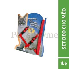 Set đeo ngưc cho mèo Harness for Cat