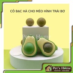 Viên catnip dán tường cho mèo