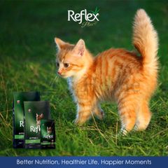 Hạt Reflex Plus kitten, adult cho mèo con, mèo trưởng thành vị gà, cá hồi, hairball, urinary, choosy salmon 1,5kg