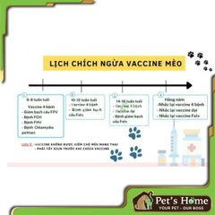 Vaccine mèo 4 bệnh
