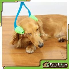 Gậy massage chó Doggyman