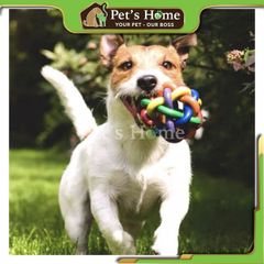 Đồ chơi cuộn dây nhiều màu Cityzoo