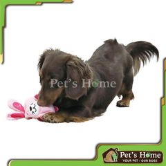 Đồ chơi Pupi cho chó Doggyman