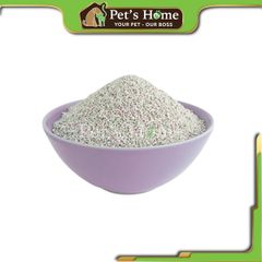 Cát sỏi DreamCat Bentonite Clumping Cat Litter 10L