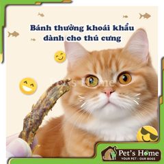 Snack thanh cá ngừ Cattyman dành cho mèo túi 25g