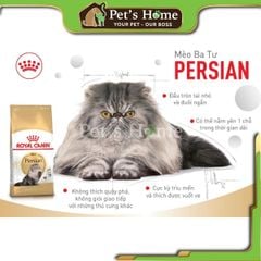 Hạt Royal Canin Persian cho mèo Ba Tư trên 12 tháng tuổi