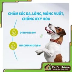 Thức ăn hạt dành cho chó Mr. Vet D1 - dòng hạt Holistic Mix topping dành cho chó 1,4kg