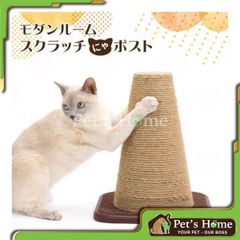 Trụ tam giác mèo cào Cattyman