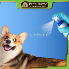 Xịt ve rận Frontline Spray giúp phòng ngừa, loại bỏ ve, bọ chét, rận ở chó mèo, chó mèo con Pháp