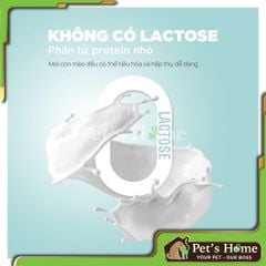 Pate sữa dê cho mèo Pet Q, thức ăn cho mèo mọi lứa tuổi 70g