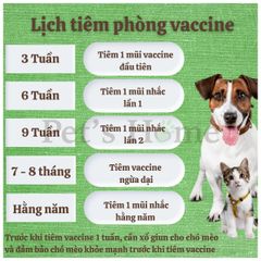 Vaccine 7 bệnh cho chó