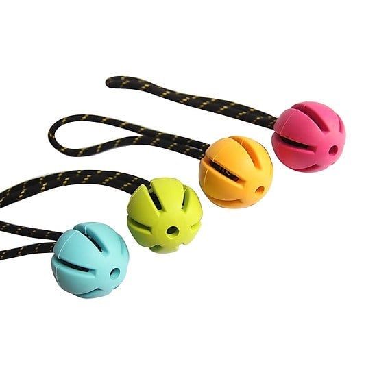 Đồ chơi hình trái banh có dây - TPET008