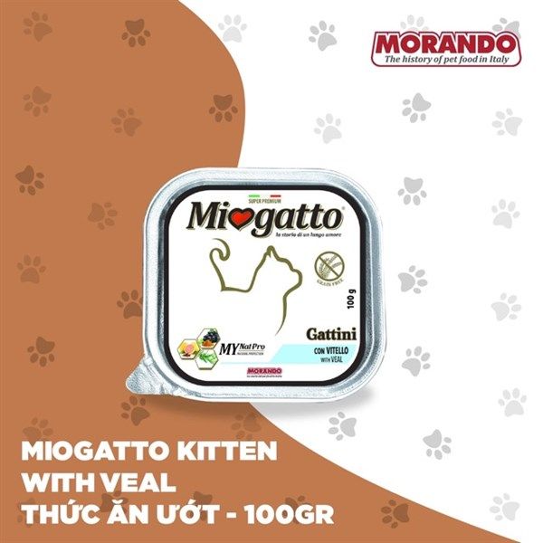 Pate Miogatto M26 cho mèo con vị thịt bê 100g