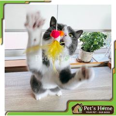 Đồ chơi cần câu kim loại gắn lông vũ