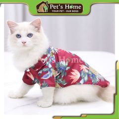 Sơ mi hè cây dừa